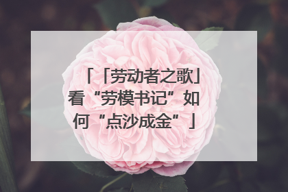 「劳动者之歌」看“劳模书记”如何“点沙成金”