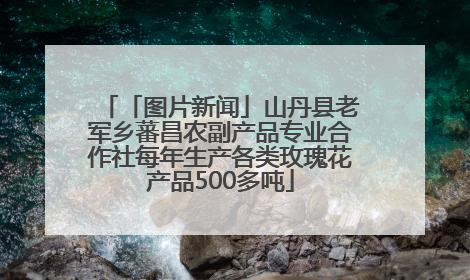 「图片新闻」山丹县老军乡蕃昌农副产品专业合作社每年生产各类玫瑰花产品500多吨