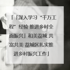 「深入学习“千万工程”经验 推进乡村全面振兴」和美荔城 共富共美 荔城区扎实推进乡村振兴工作