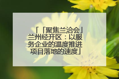 「聚焦兰洽会」兰州经开区：以服务企业的温度推进项目落地的速度