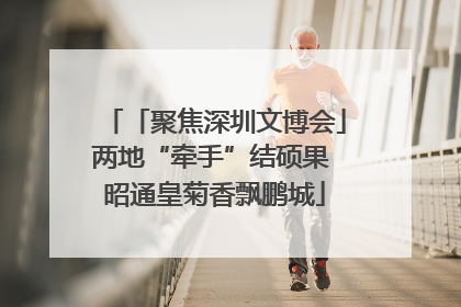 「聚焦深圳文博会」两地“牵手”结硕果 昭通皇菊香飘鹏城