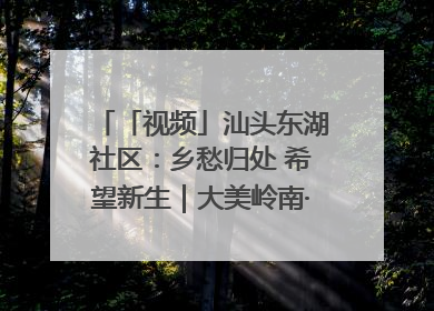 「视频」汕头东湖社区：乡愁归处 希望新生｜大美岭南·百村焕新记