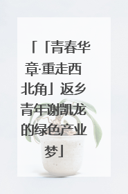 「青春华章·重走西北角」返乡青年谢凯龙的绿色产业梦