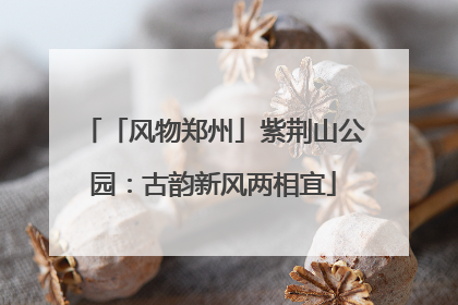 「风物郑州」紫荆山公园：古韵新风两相宜