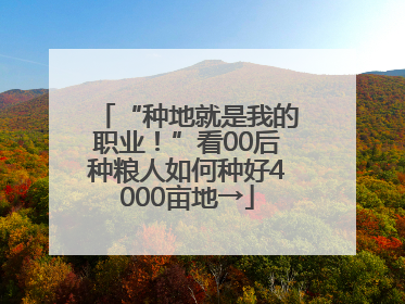 “种地就是我的职业！”看00后种粮人如何种好4000亩地→