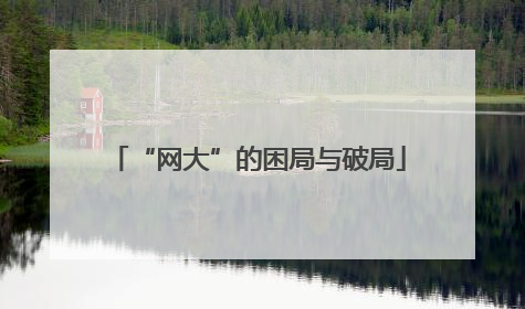 “网大”的困局与破局