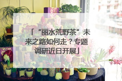 “丽水荒野茶”未来之路如何走？专题调研近日开展