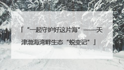 “一起守护好这片海”——天津渤海湾畔生态“蜕变记”
