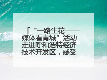 “一路生花——媒体看青城”活动走进呼和浩特经济技术开发区，感受发展新动能