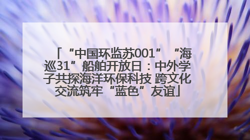 “中国环监苏001”“海巡31”船舶开放日：中外学子共探海洋环保科技 跨文化交流筑牢“蓝色”友谊