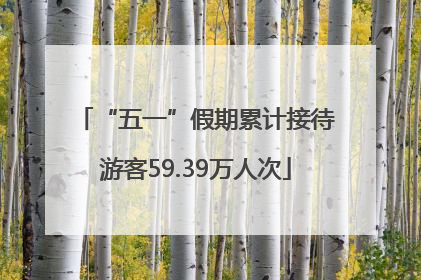 “五一”假期累计接待游客59.39万人次