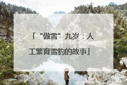 “傲雪”九岁：人工繁育雪豹的故事
