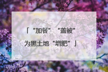 “加餐”“盖被” 为黑土地“增肥”