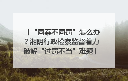 “同案不同罚”怎么办？湘阴行政检察监督着力破解“过罚不当”难题