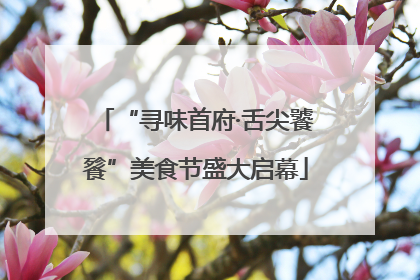 “寻味首府·舌尖饕餮”美食节盛大启幕