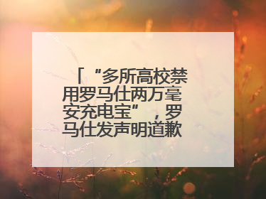 “多所高校禁用罗马仕两万毫安充电宝”，罗马仕发声明道歉：已展开核查