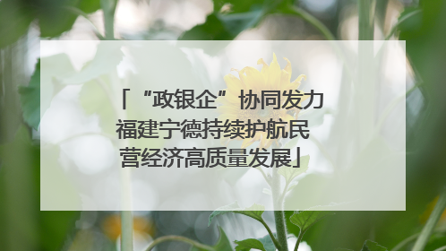 “政银企”协同发力 福建宁德持续护航民营经济高质量发展