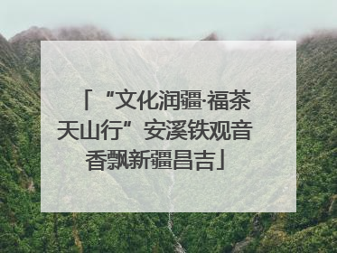 “文化润疆·福茶天山行”安溪铁观音香飘新疆昌吉
