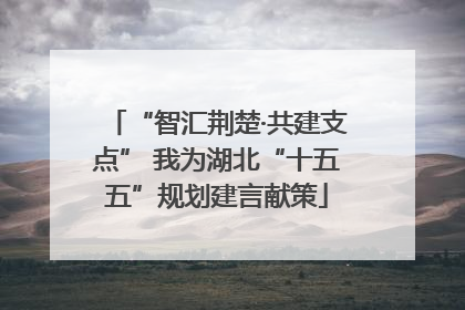 “智汇荆楚·共建支点” 我为湖北“十五五”规划建言献策