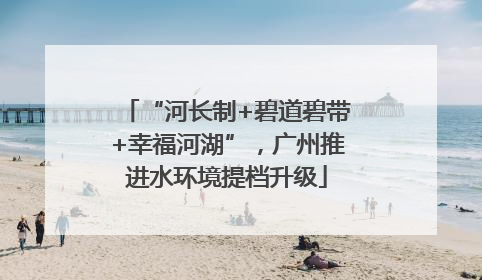 “河长制+碧道碧带+幸福河湖”，广州推进水环境提档升级