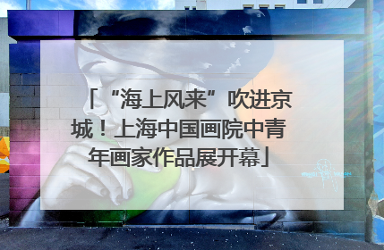 “海上风来”吹进京城！上海中国画院中青年画家作品展开幕