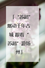 “苏超”燃动千年古城 跟着“苏超”游扬州