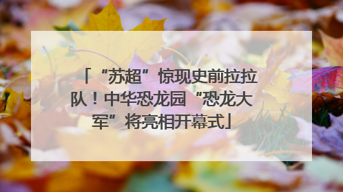 “苏超”惊现史前拉拉队！中华恐龙园“恐龙大军”将亮相开幕式