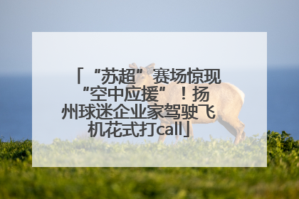 “苏超”赛场惊现 “空中应援”！扬州球迷企业家驾驶飞机花式打call
