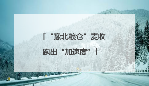 “豫北粮仓”麦收跑出“加速度”