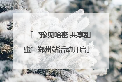 “豫见哈密·共享甜蜜”郑州站活动开启