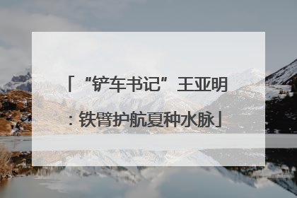 “铲车书记”王亚明：铁臂护航夏种水脉