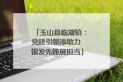 玉山县临湖镇：党建引领添助力 银发先锋展担当