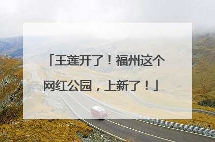 王莲开了！福州这个网红公园，上新了！