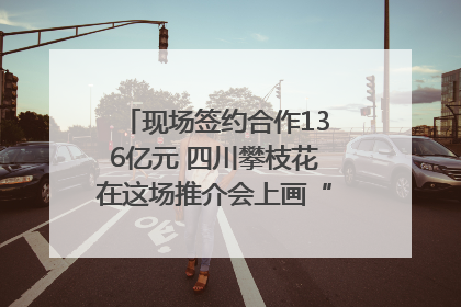 现场签约合作136亿元 四川攀枝花在这场推介会上画“图谱”列“清单”