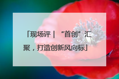 现场评｜“首创”汇聚，打造创新风向标