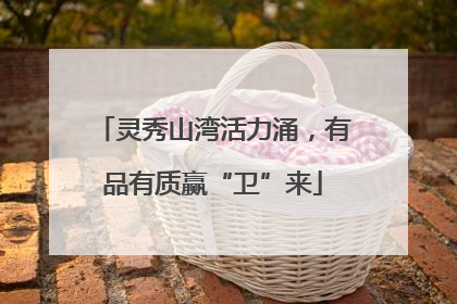 灵秀山湾活力涌，有品有质赢“卫”来