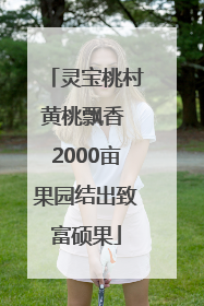 灵宝桃村黄桃飘香 2000亩果园结出致富硕果