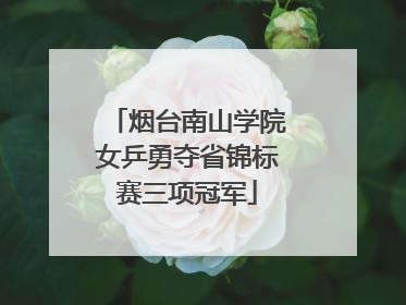 烟台南山学院女乒勇夺省锦标赛三项冠军