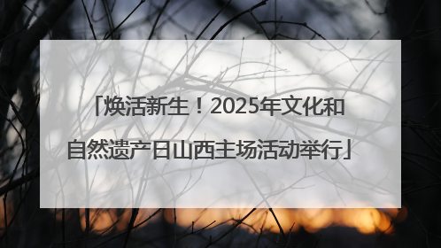 焕活新生！2025年文化和自然遗产日山西主场活动举行