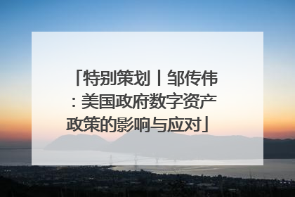 特别策划丨邹传伟：美国政府数字资产政策的影响与应对