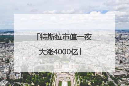 特斯拉市值一夜大涨4000亿