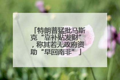 特朗普猛批马斯克“靠补贴发财”，称其若无政府资助“早回南非”