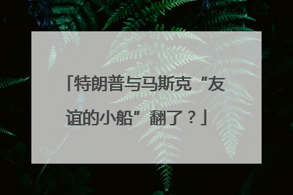 特朗普与马斯克“友谊的小船”翻了？