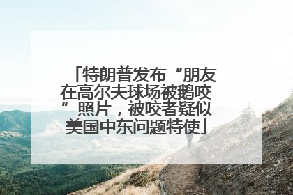 特朗普发布“朋友在高尔夫球场被鹅咬”照片，被咬者疑似美国中东问题特使