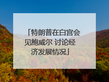 特朗普在白宫会见鲍威尔 讨论经济发展情况