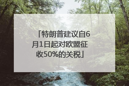 特朗普建议自6月1日起对欧盟征收50%的关税