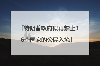 特朗普政府拟再禁止36个国家的公民入境
