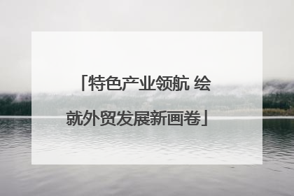 特色产业领航 绘就外贸发展新画卷