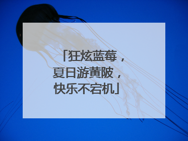 狂炫蓝莓，夏日游黄陂，快乐不宕机