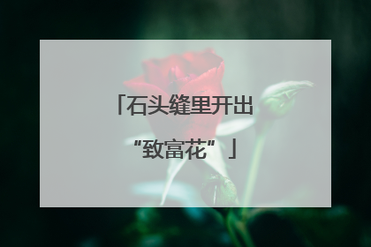石头缝里开出“致富花”